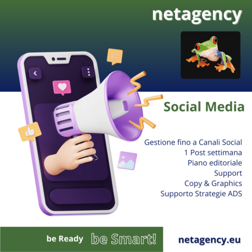 netagency gestione social