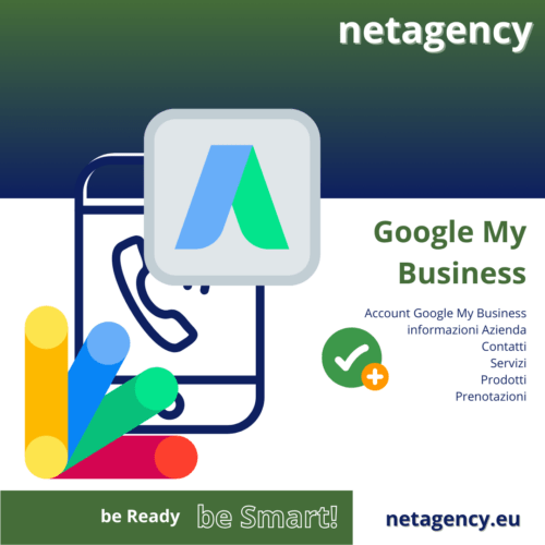 netagency google my business